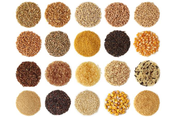 Distribution of Seeds